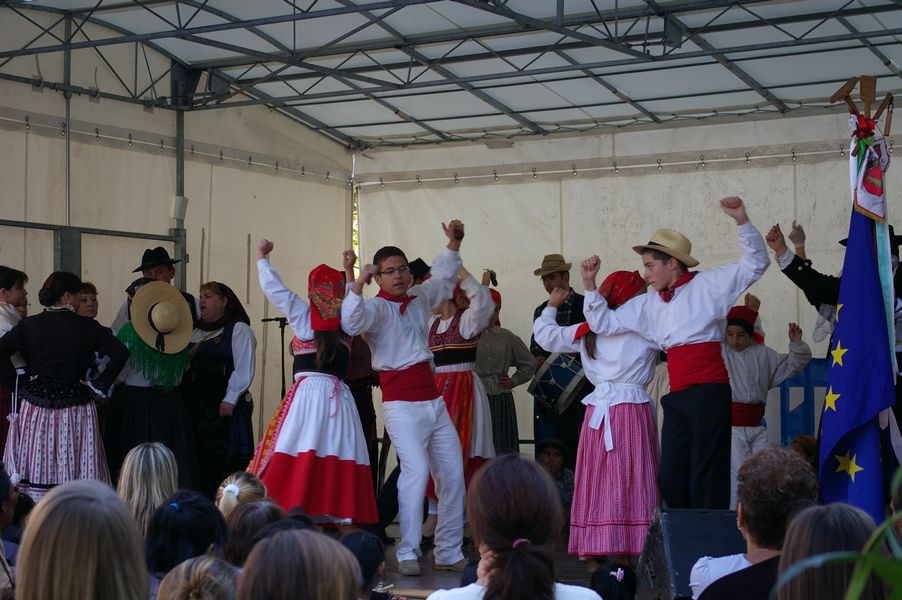 8e fete des associations Evry 2008 -332.jpg
